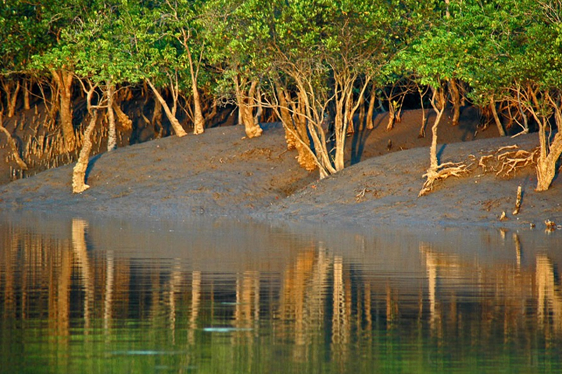 Sundarban Bangladesh Tour Package